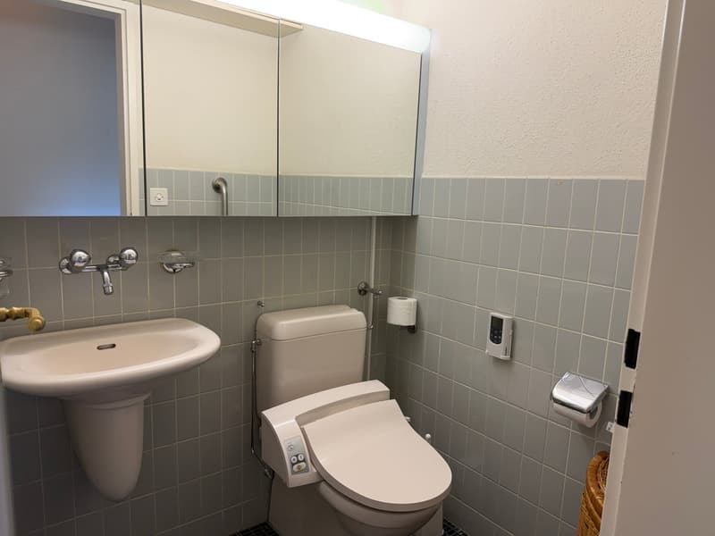 Helle Wohnung mit Cheminée (6)