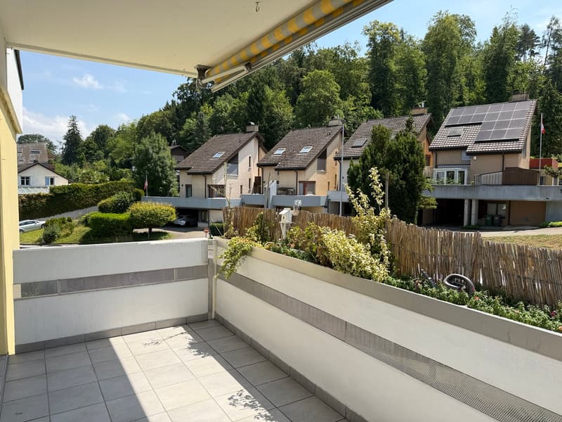 Helle Wohnung mit sonnigem Balkon und Cheminée (8)