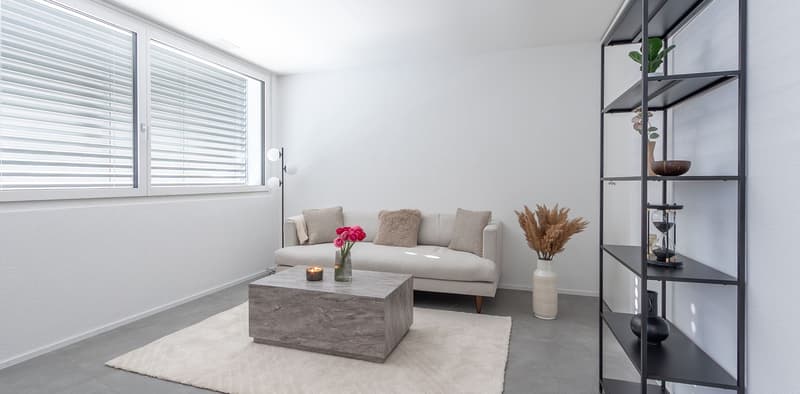 2 ½ Zimmer-Neubauwohnung in Visp mieten (3)