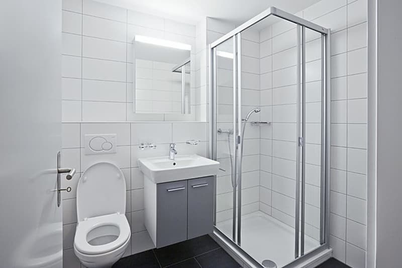 Helle 3.5 Zimmerwohnung in Glis (5)