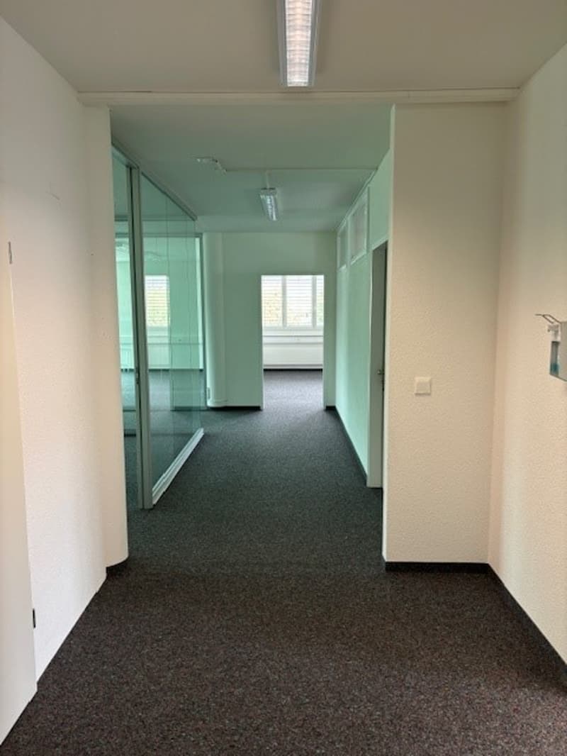 The image shows a long, narrow hallway with white walls and a carpeted floor. There are glass doors and windows along the hallway, providing natural light. The space appears to be an office or commercial setting.