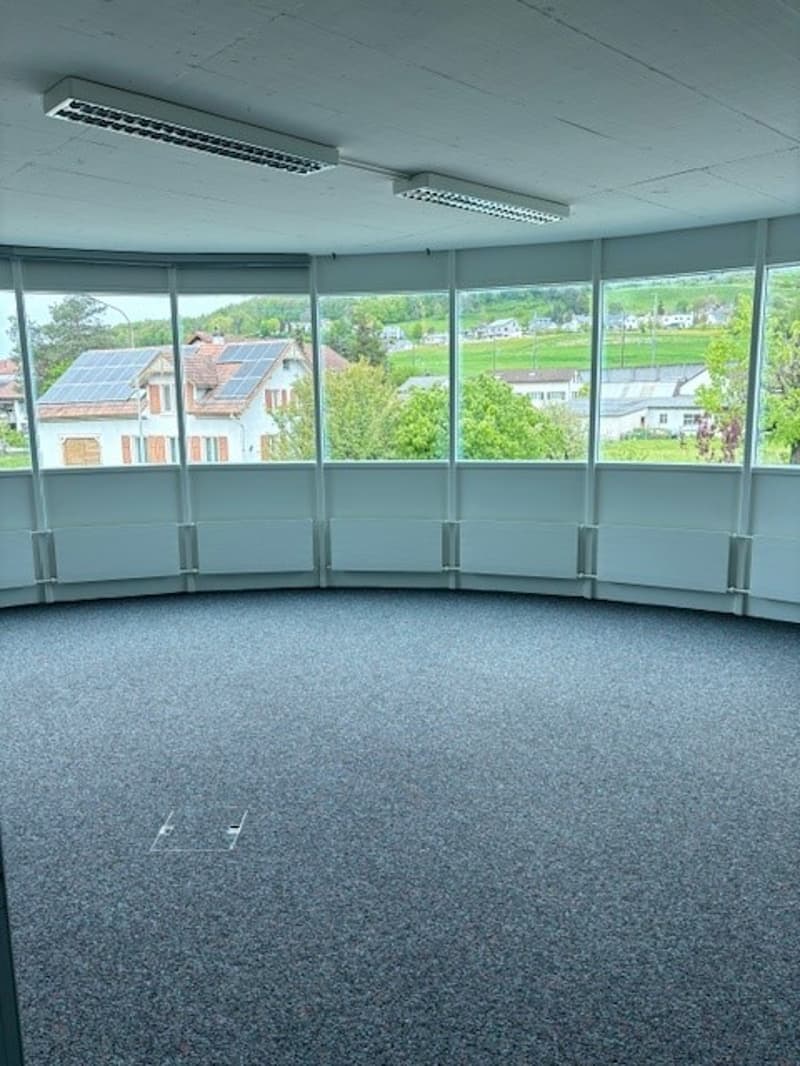 Large open office space with floor-to-ceiling windows providing a view of the surrounding buildings and greenery outside. The room has a gray carpeted floor and recessed lighting fixtures on the ceiling.