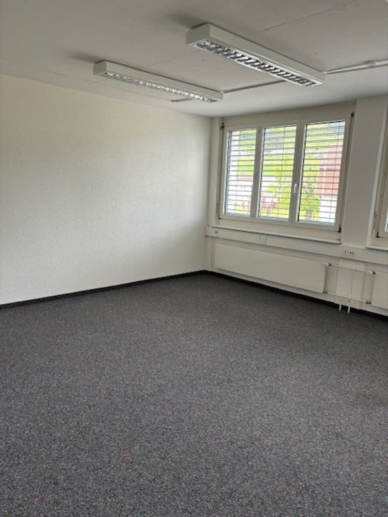 The image shows a spacious office room with white walls, large windows, and a gray carpeted floor. The room is equipped with two long, rectangular light fixtures on the ceiling. The room appears to be empty and ready for use as an office space.