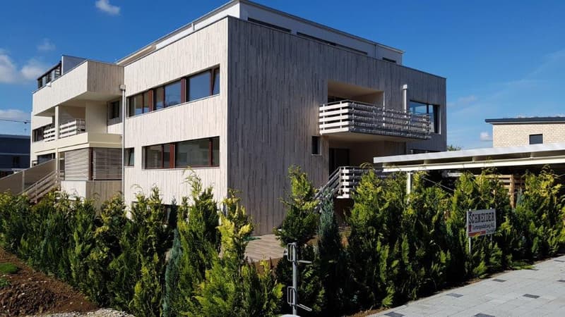 modern design, white exterior, large windows, balconies, wooden exterior, shrubs
