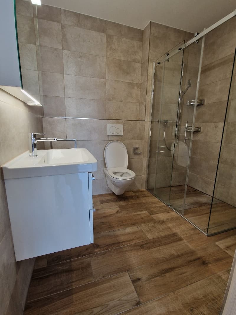 Bathroom with wooden floor, white sink, white toilet, glass shower enclosure