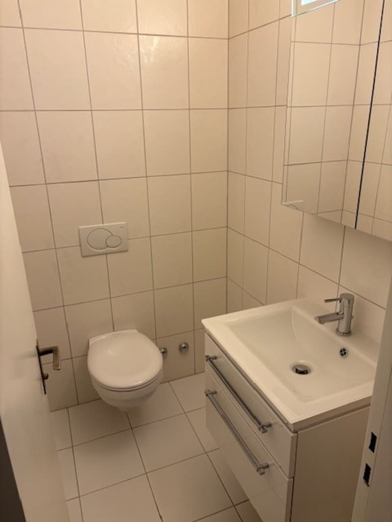Schöne 2.5-Zimmer-Wohnung mit Balkon in Allschwil (4)