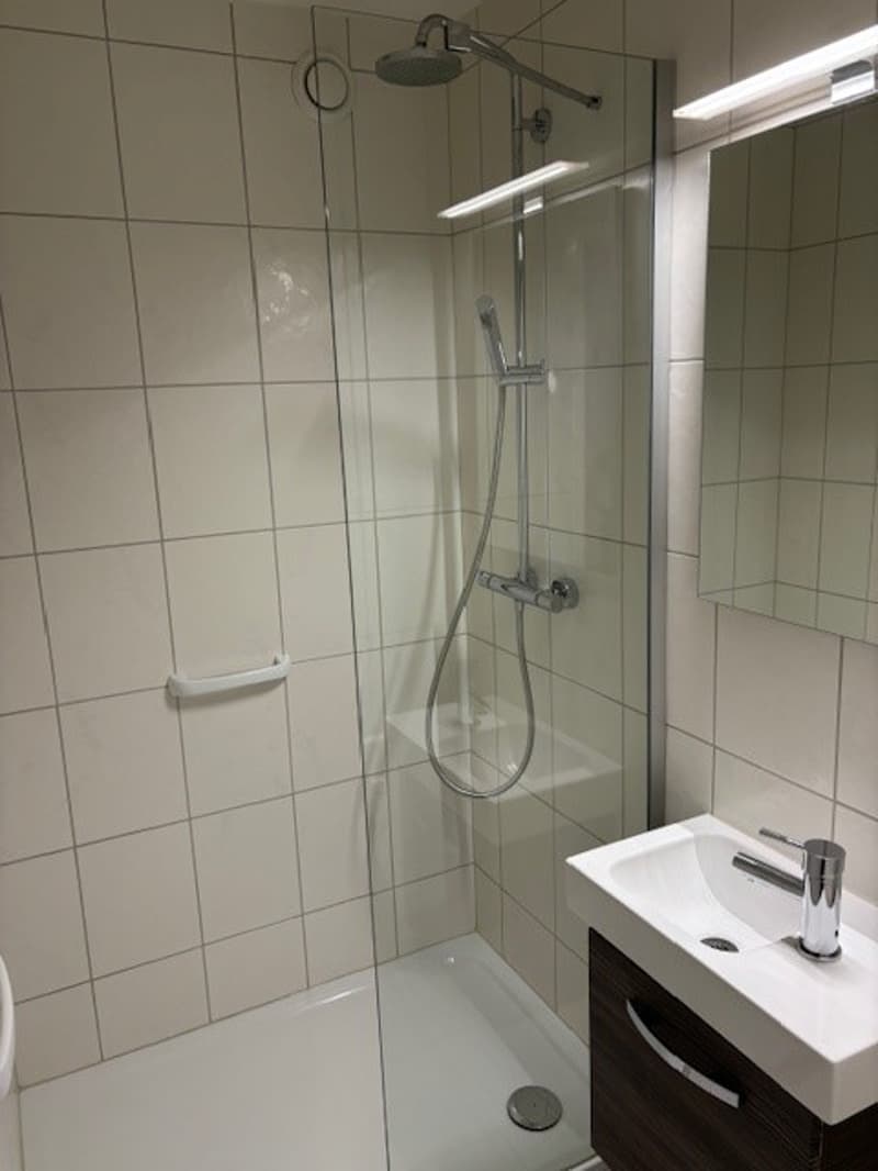 Schöne 2.5-Zimmer-Wohnung mit Balkon in Allschwil (3)