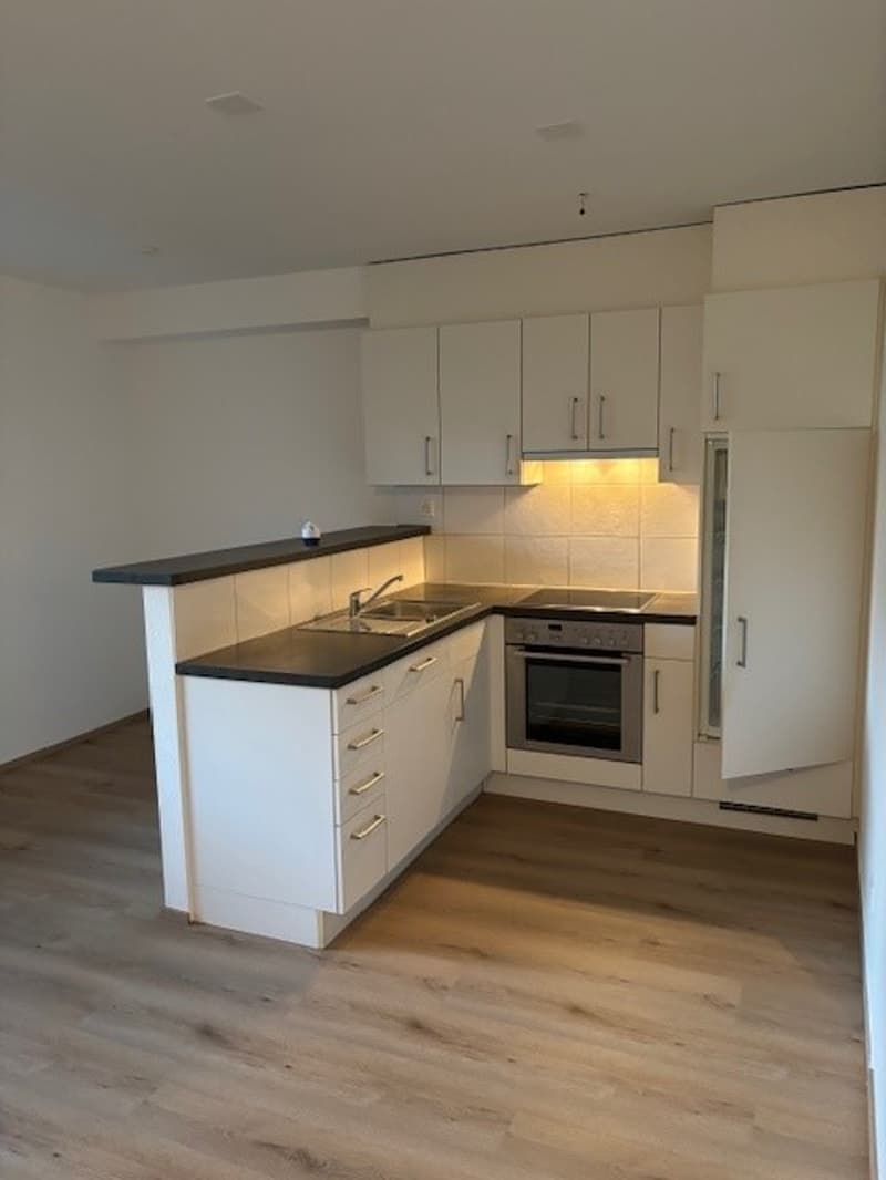 Schöne 2.5-Zimmer-Wohnung mit Balkon in Allschwil (1)