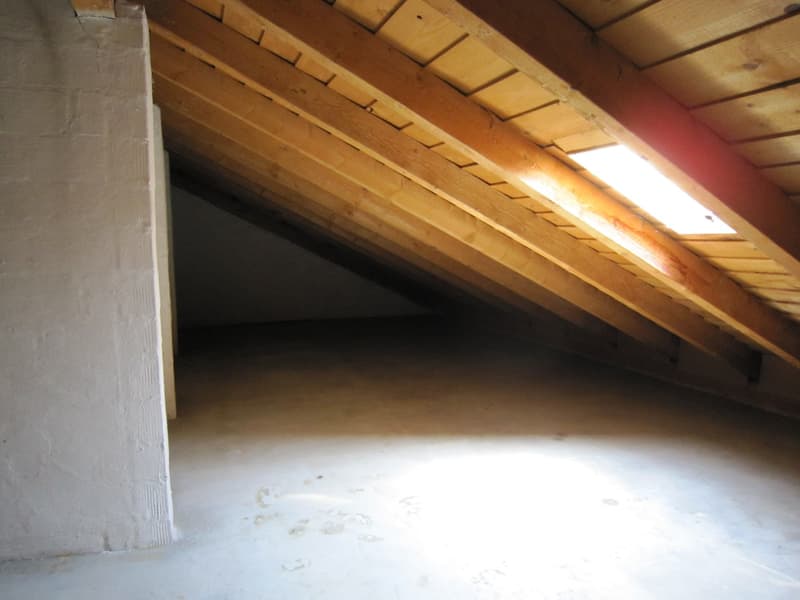 attic room, wooden beams, white walls, concrete floor, skylight