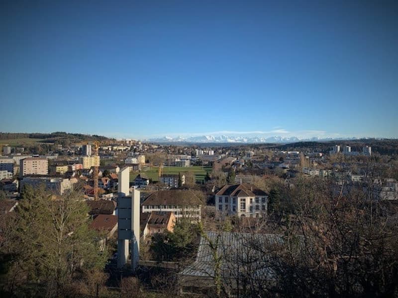 Aerial view of a city with many buildings, trees, and mountains in the distance
