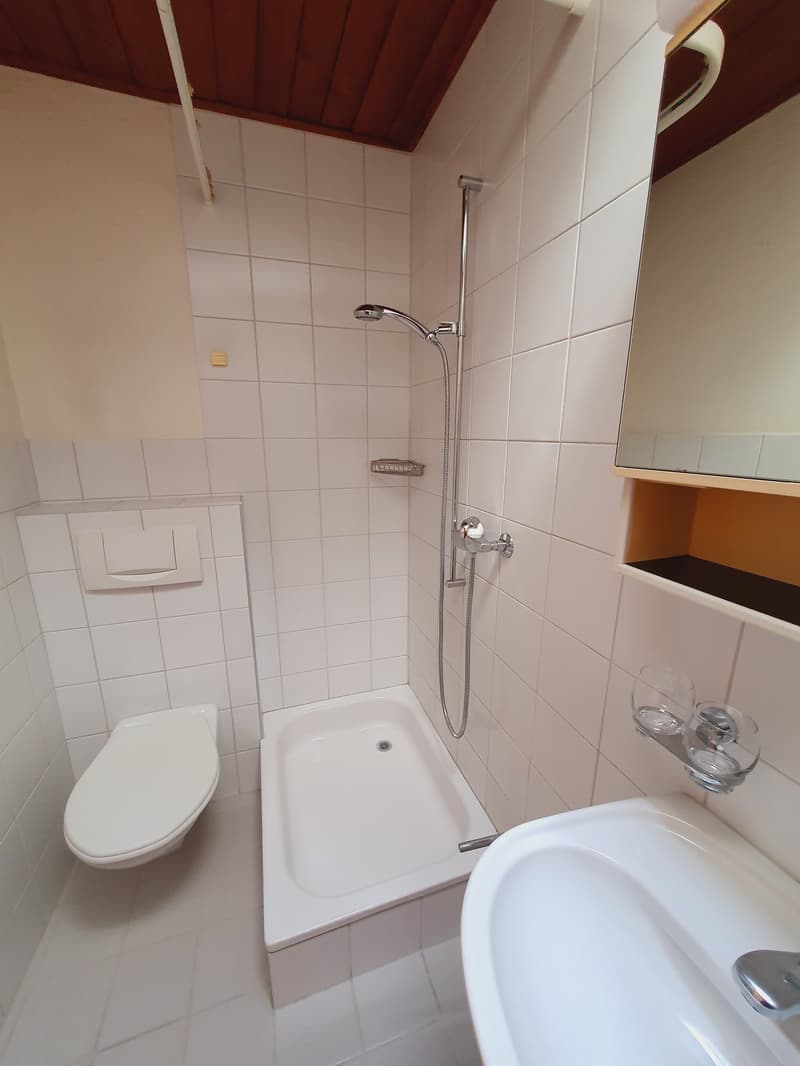 Gemütliche 1-Zimmerwohnung in Belp (6)