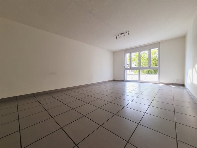 Grosszügige Wohnung auf 2 Etagen mit eigenem Gärtli (6)