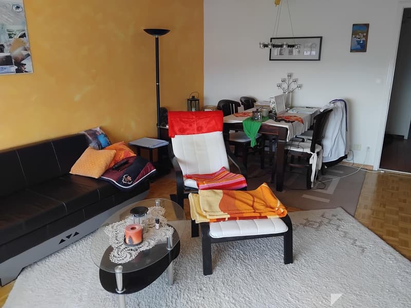 Charmante 2-Zimmer-Wohnung mit Balkon und Bergblick in Biel (4)