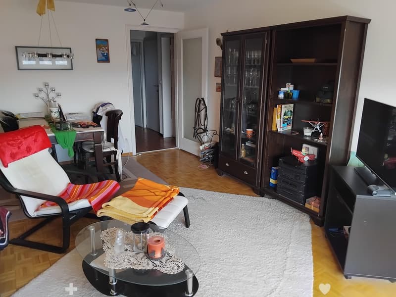Charmante 2-Zimmer-Wohnung mit Balkon und Bergblick in Biel (5)
