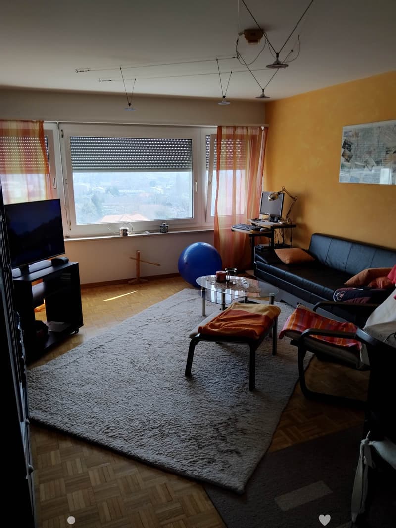Charmante 2-Zimmer-Wohnung mit Balkon und Bergblick in Biel (3)