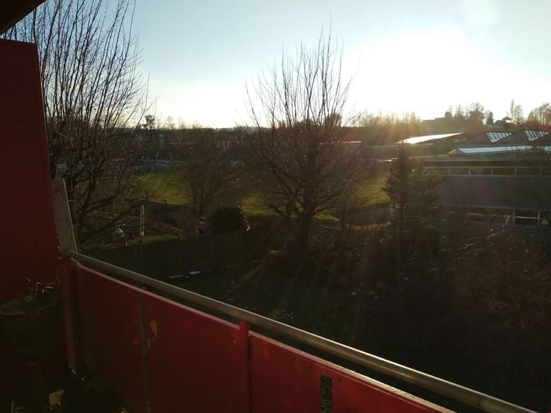 red railing, outdoor view of a grassy field and trees