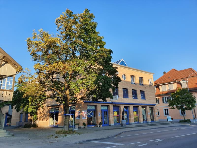 Large building on the street, brick exterior, blue shutters, ground floor shops, trees in front