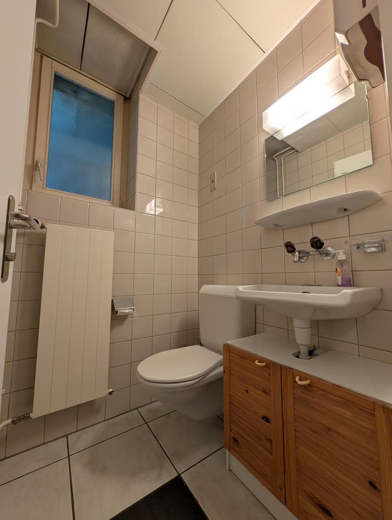 Attraktive Gewerbeimmobilie im Zentrum von Lyss (11)