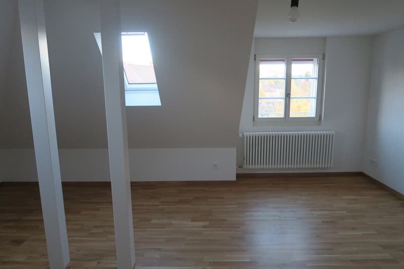 Attraktive 2.5-Zimmer-Dachwohnung mit eigener Dachterrasse (6)