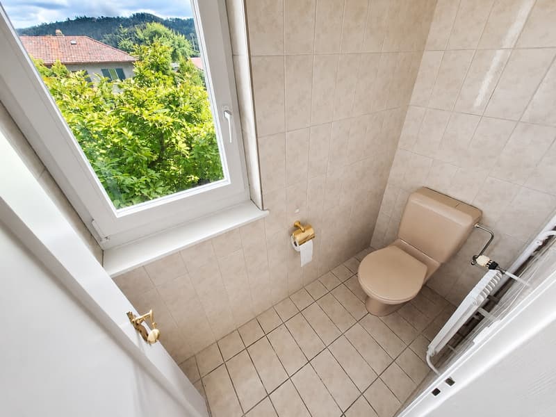 Einzigartige Perle: charmantes 6.5-Zimmer-Einfamilienhaus (20)