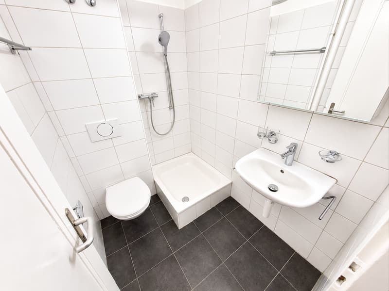 frisch saniertes 1-Zimmer-Studio mitten in der Stadt (5)