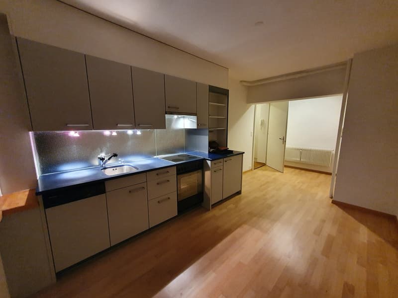 Charmante 2.5-Zimmer-Wohnung im Untergeschoss in Bern-Länggasse (5)