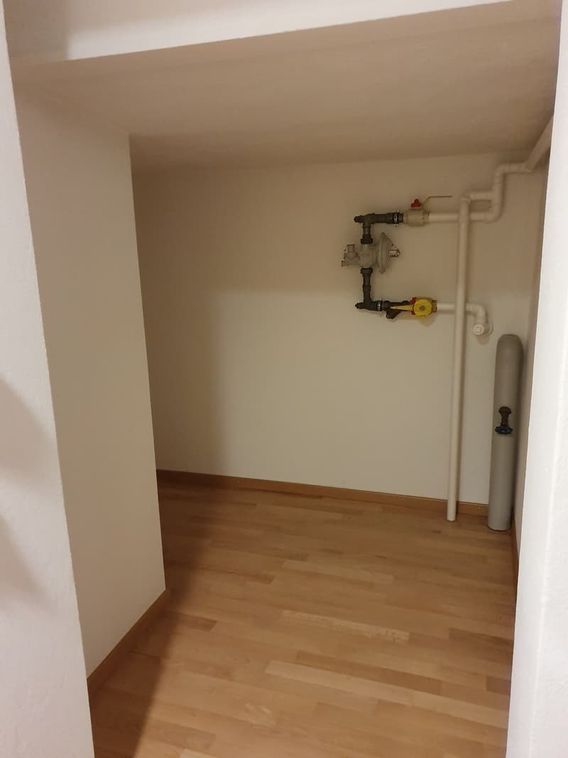 Charmante 2.5-Zimmer-Wohnung im Untergeschoss in Bern-Länggasse (10)