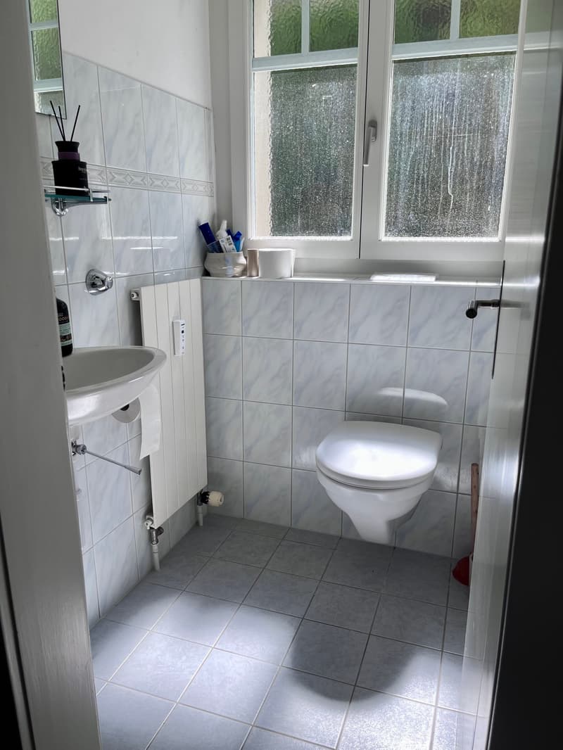 Charmante 2.5-Zimmer-Wohnung im Untergeschoss in Bern-Länggasse (8)