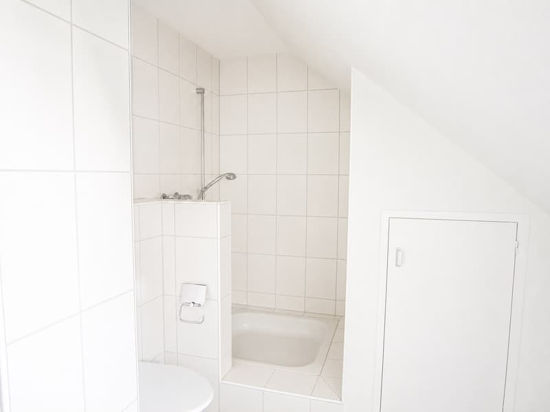Helle 2-Zimmer-Dachwohnung nähe Europaplatz (7)