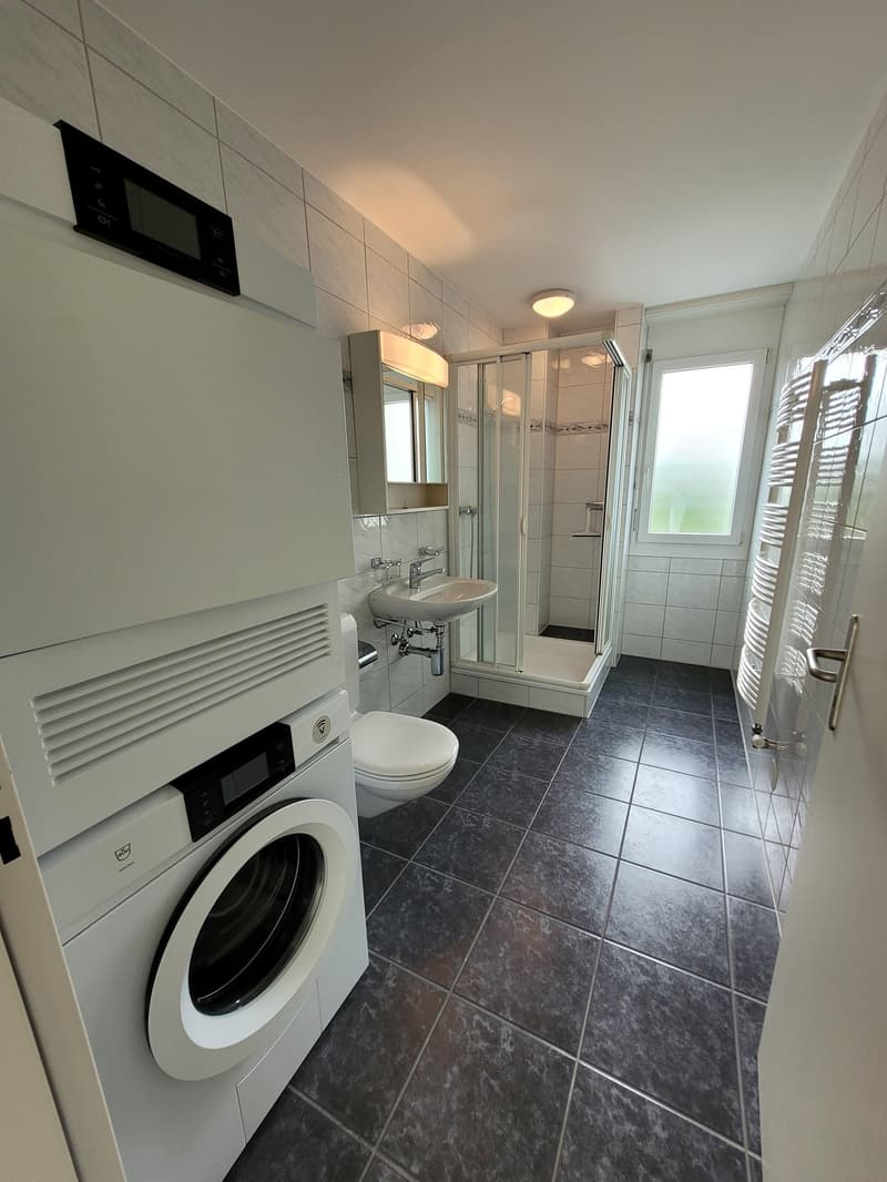 A compact bathroom with a toilet, sink, and washing machine stacked together, enclosed by a glass shower stall.