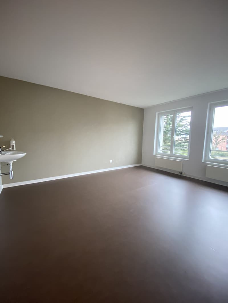 empty room, white walls, brown floor, white sink, two windows, radiators