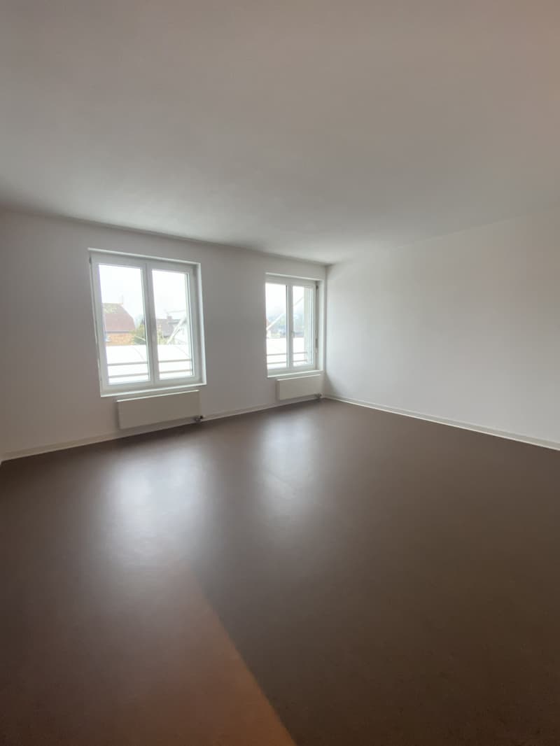 Empty room with white walls, brown floor, two windows with white frames, and white radiators.