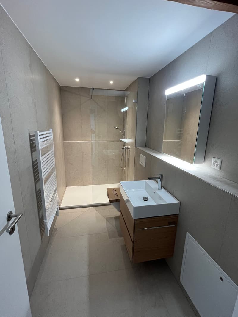 Neue 4-Zimmer-Dachwohnung in der Stadt Olten (3)
