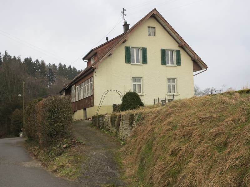Charmantes Einfamilienhaus in Winznau – 8 Zimmer mit Garten (3)