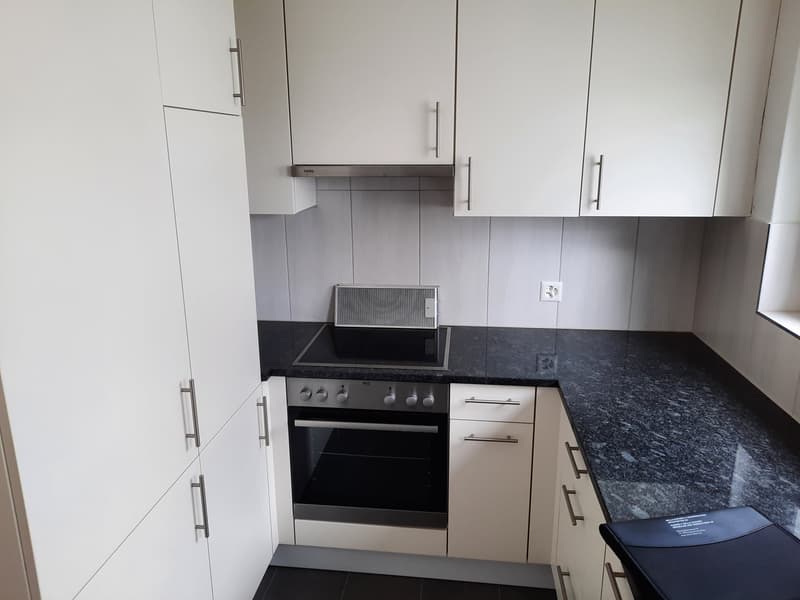 3,5-Zimmerwohnung in Olten (3)