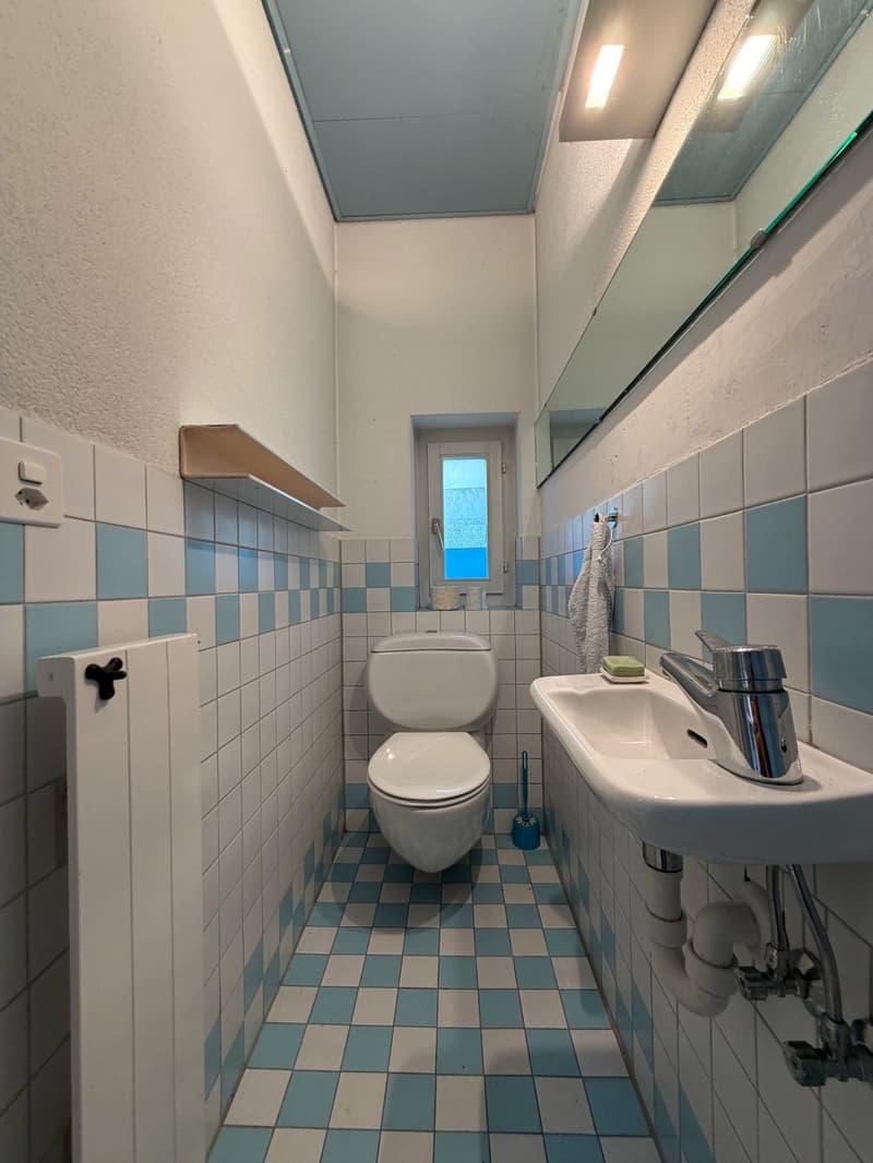 Wohnen im Grünen: Charmantes 5.5-Zimmer-Einfamilienhaus mit Garten (6)