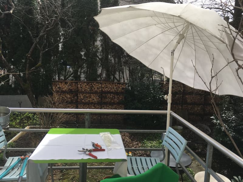 Wohnen im Grünen: Charmantes 5.5-Zimmer-Einfamilienhaus mit Garten (6)