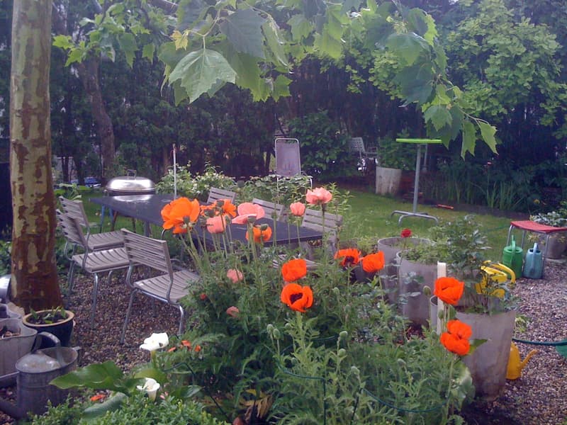 Wohnen im Grünen: Charmantes 5.5-Zimmer-Einfamilienhaus mit Garten (16)