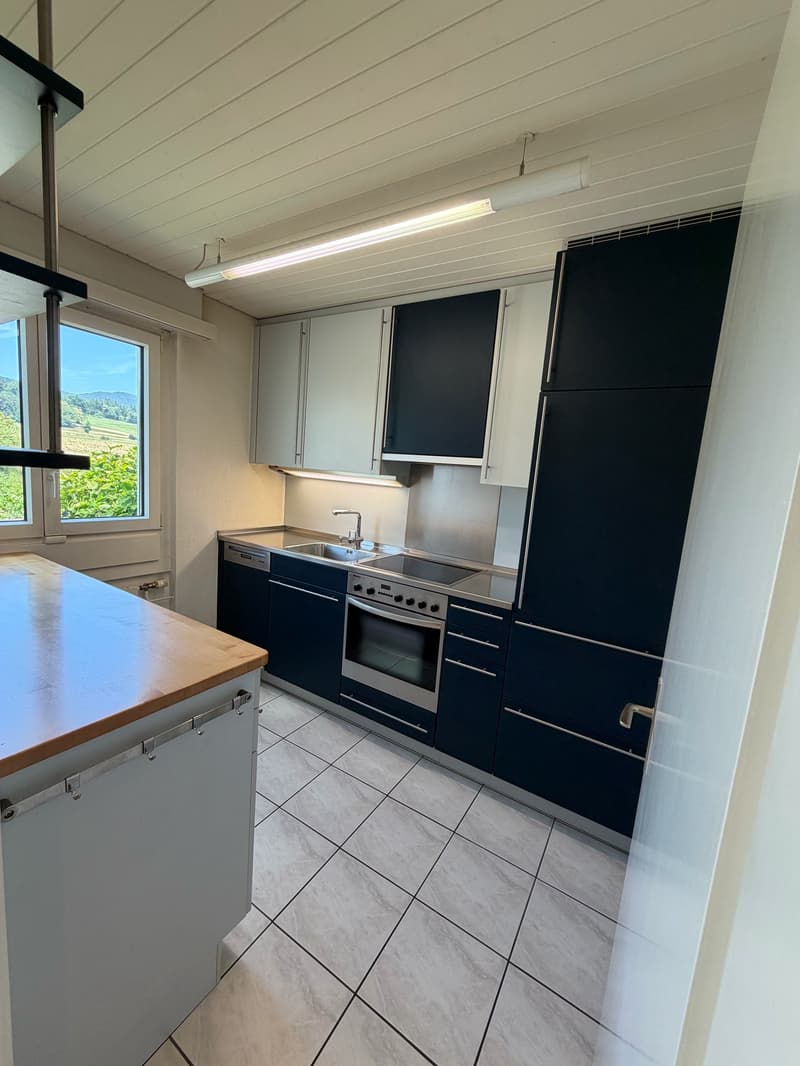 Ein Zuhause zum Wohlfühlen – freistehendes 5½-Zimmer-EFH mit Wintergarten (4)