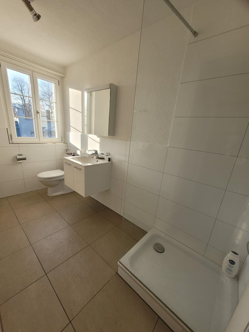 2,5-Zimmerwohnung im Zentrum (5)