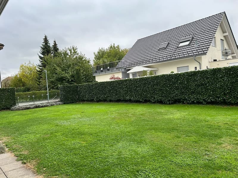 Geräumige 4.5-Zimmer-Wohnung im Erdgeschoss in Hägendorf (3)