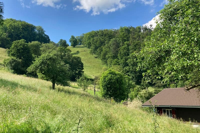 Bauland am Waldrand mit Weitsicht
