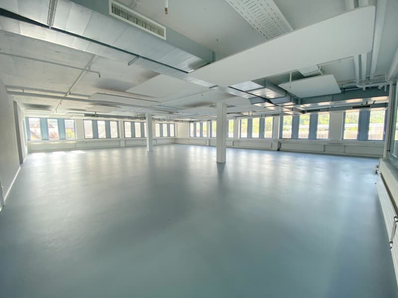 Showroom/Bürofläche (6)