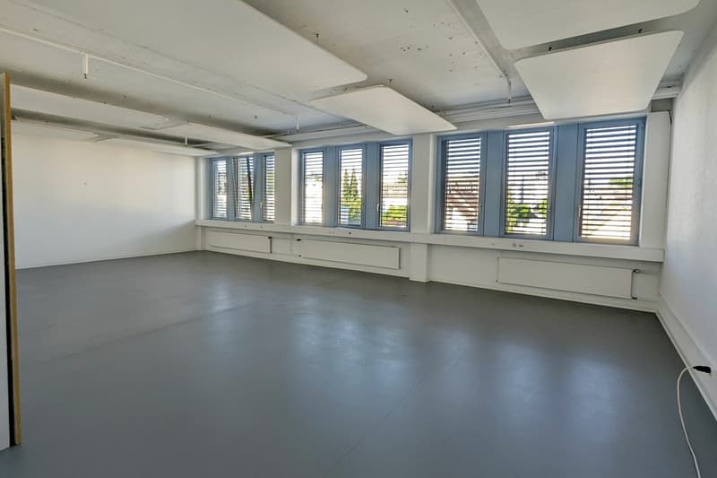 Showroom/Espace de bureau (7)