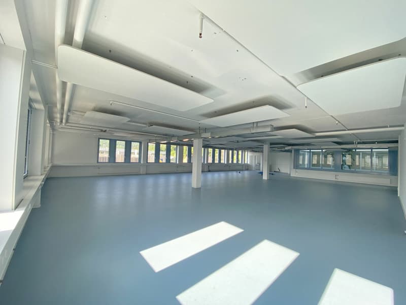 Showroom 1305 + 1310