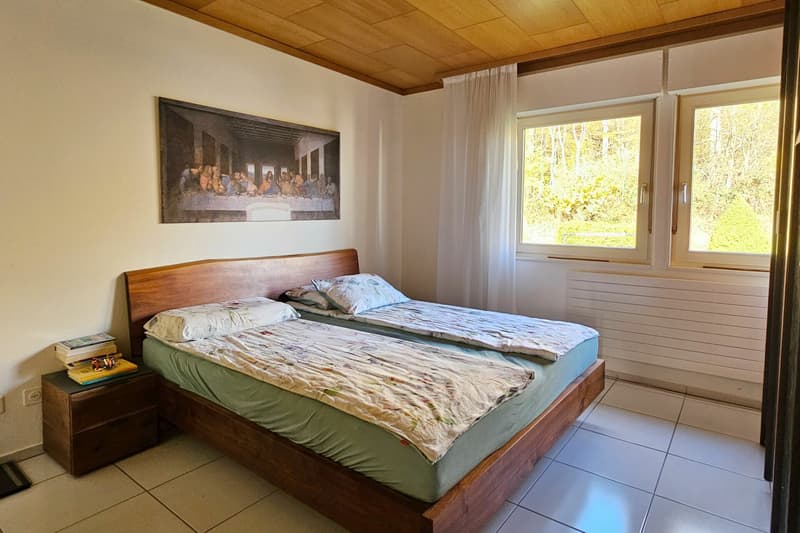 Casa unifamiliare ai margini del bosco (8)