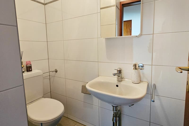 Casa unifamiliare ai margini del bosco (11)