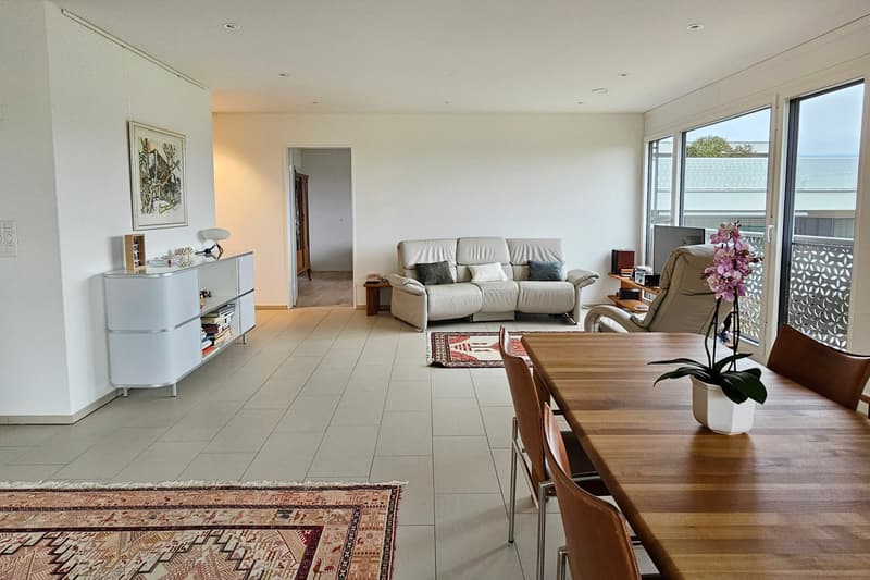 Appartement entre la Limmat et le bord de la forêt avec une vue lointaine (2)