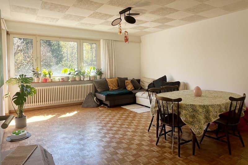 Wohnung mit Balkon mit Sicht ins Grüne nahe dem Dättwiler Weiher (2)