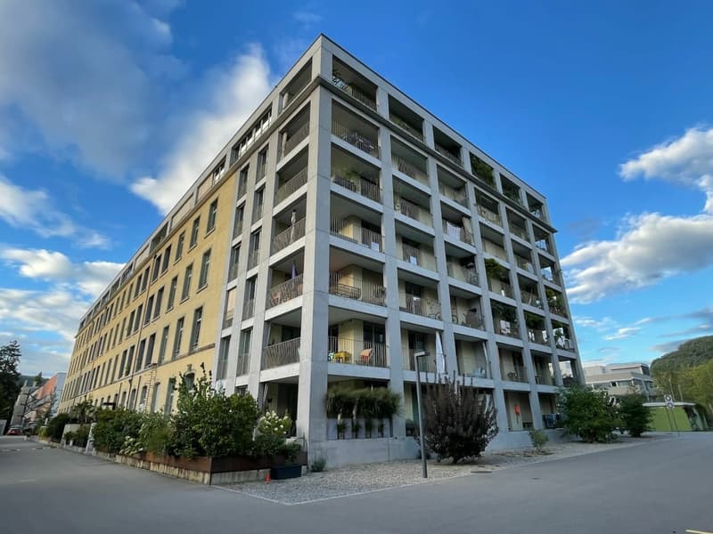 Exklusive Loftwohnung an der Reuss (1)